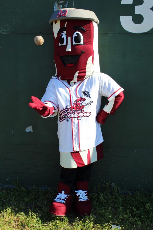 Macon Bacon Mascot, Kevin Bacon.