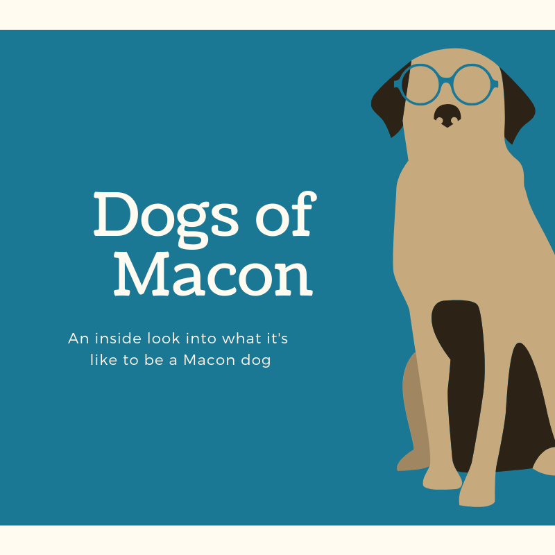 The Dogs of Macon