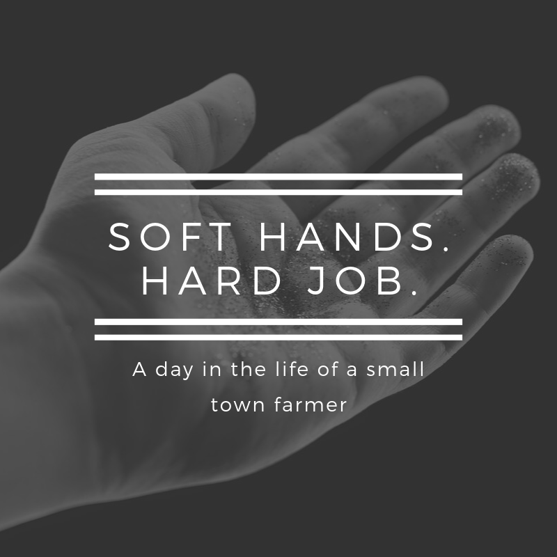 Soft Hands. Hard Job