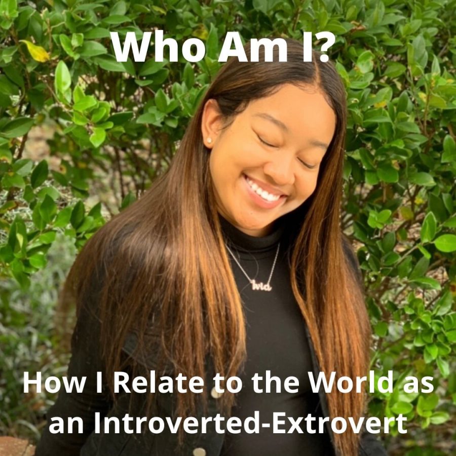 Who Am I Series: How I Relate to the World as an Introverted-Extrovert