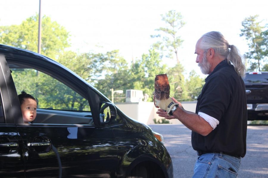 An older man shows a young boy a screech owl. The man has light skin and gray hair pulled back into a ponytail. The boy has short dark hair and light skin. The owl is small and brown.