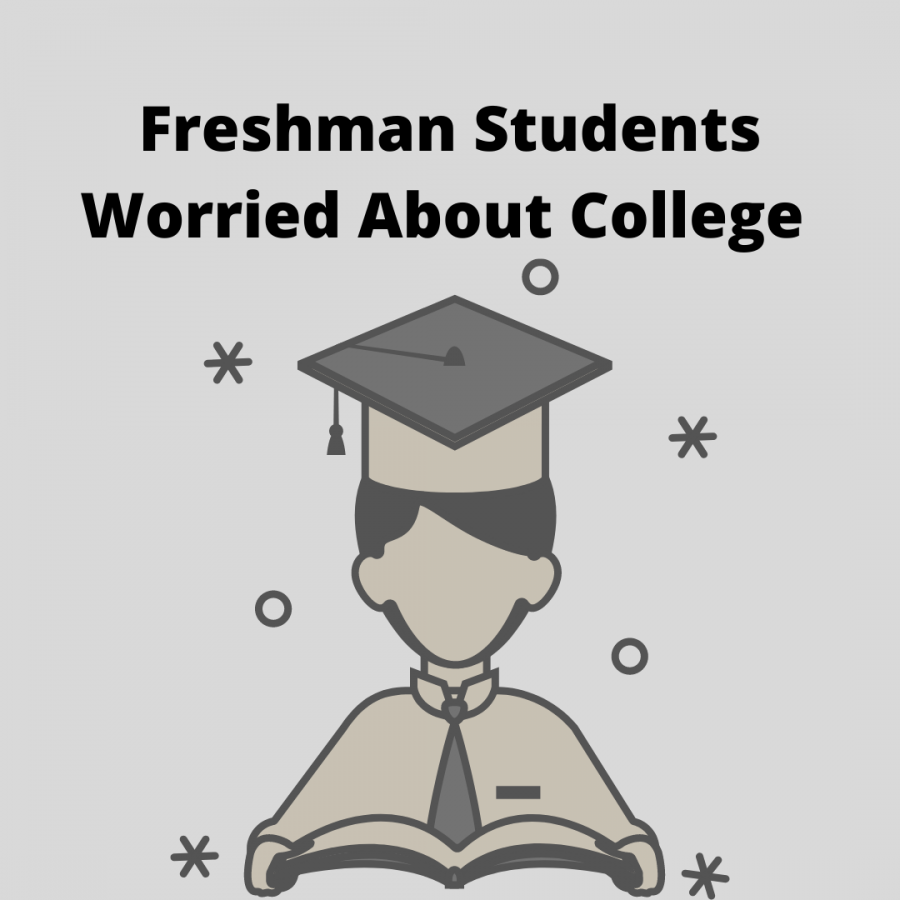 Freshman Students Worried About College