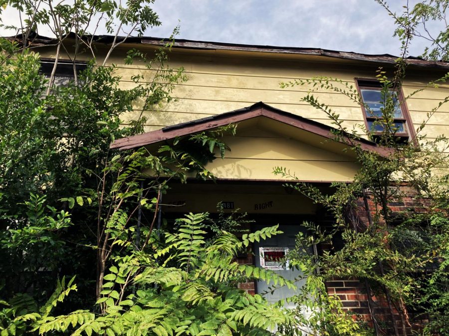 A blighted residence on Pio Nono Avenue that has been taken over by the vegetation in the front yard, becoming obscured behind the greenery. 