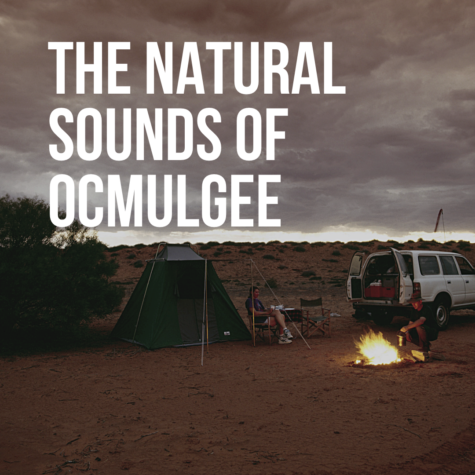 Sounds of Ocmulgee Mounds National Historic Park