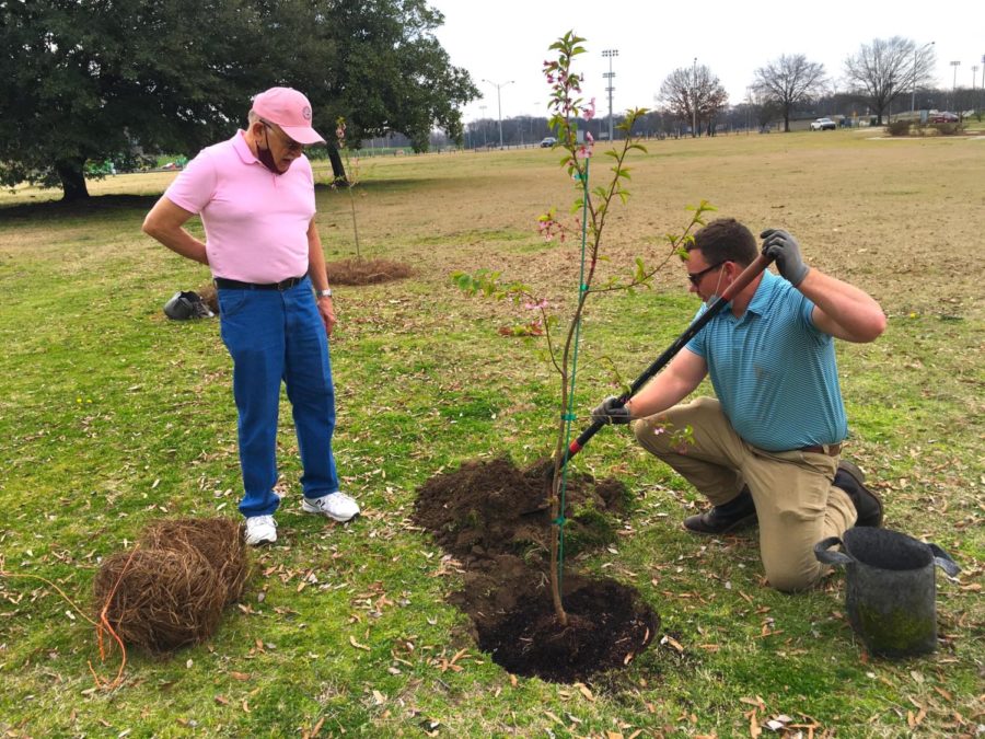 Macon-Bibb County Parks & Recreation director Michael Glisson first planted a Helen Taft variety cherry tree at Carolyn Crayton Park in February of 2021 with Wayne Woodworth looking on. .