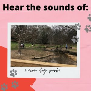 Sounds of the Macon Dog Park