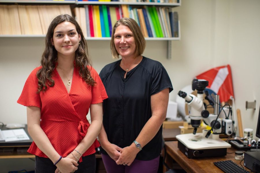 new-amphipod-species-discovered-at-georgia-college-the-macon-newsroom