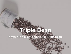 Recent High School Graduates Launch Online Coffee Company - Cool Beans!