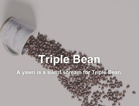 Recent High School Graduates Launch Online Coffee Company - Cool Beans!