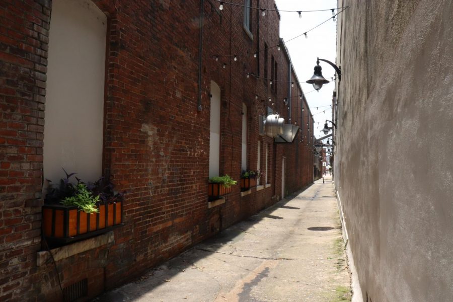 This alleyway, next to Theater Macon on Cherry Street, used to be dim and unsafe. It is now a lit area with plants and a mural and may be home to one of Wimberly Treadwells Play Paths.