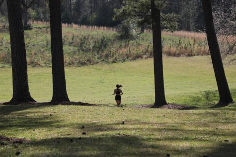 5 Soft Surface Running Trails in Macon