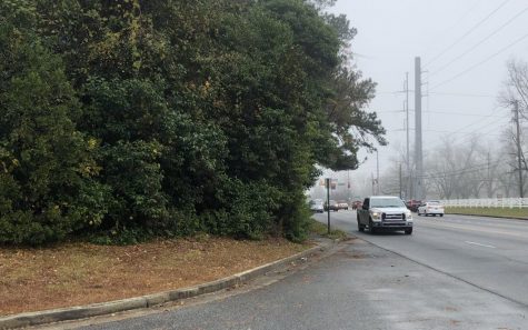 After two decades of zoning fights, a specialty grocery store is approved for the northwest corner of Bass and Zebulon roads. 