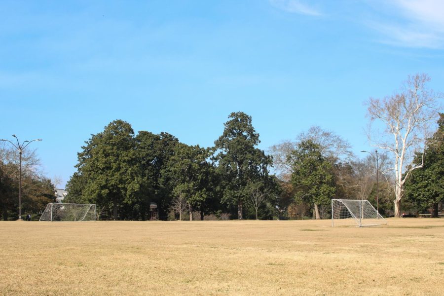 A picture of Tattnall Square Park. 