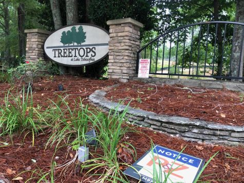 In Phase III of the Treetops at Lake Tobesofkee, construction of 80 single-family homes has been approved on lots where building stalled in the 2008 recession. 