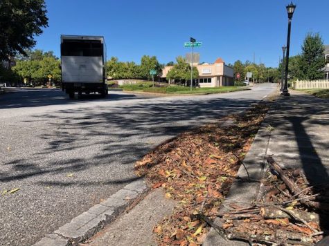 A freshly blown pile of leaves sits in the gutter of Coleman Avenue. It is against the law in Macon-Bibb County to blow leaves and debris into the street. 