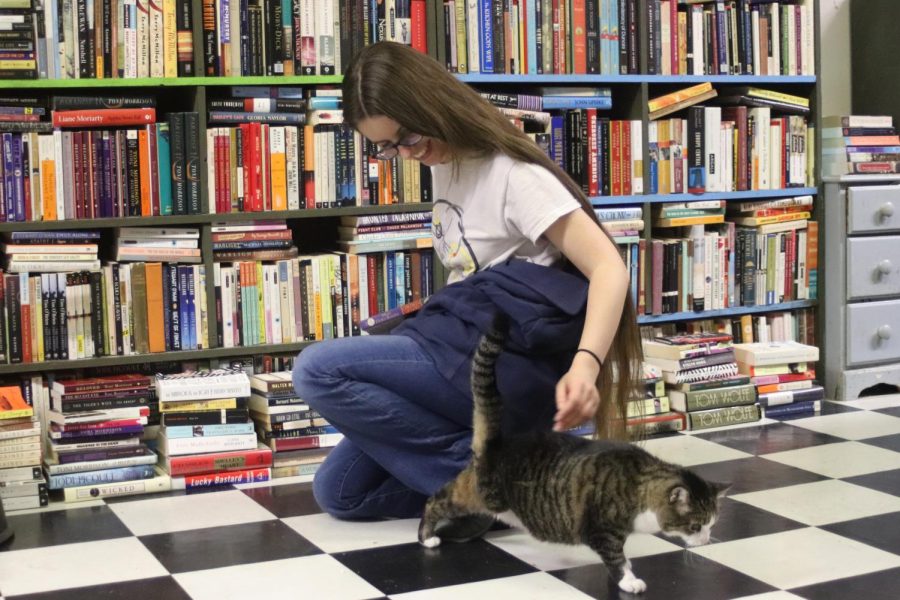Anna Reine pets the three-legged cat Trinity while searching for a book.