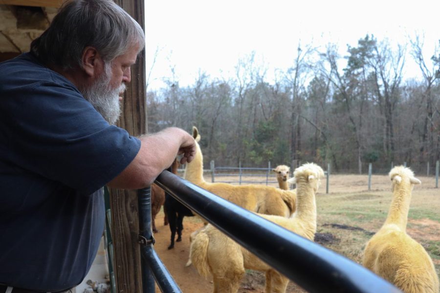 Yellow+Rock+Farm+owner%2C+Paul+Cardwell+visits+his+female+alpacas+and+llamas+on+his+farm+on+December+5%2C+2022+in+Macon%2C+Ga.