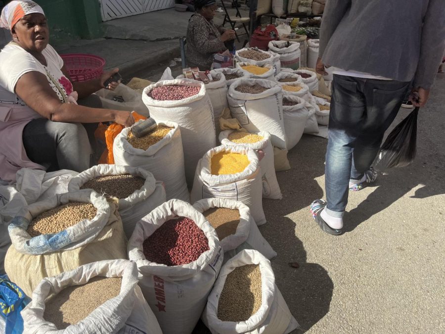 The bi-weekly market in El Cercado, Dominican Republic features a variety of locally grown produce as well as housewares and clothing.