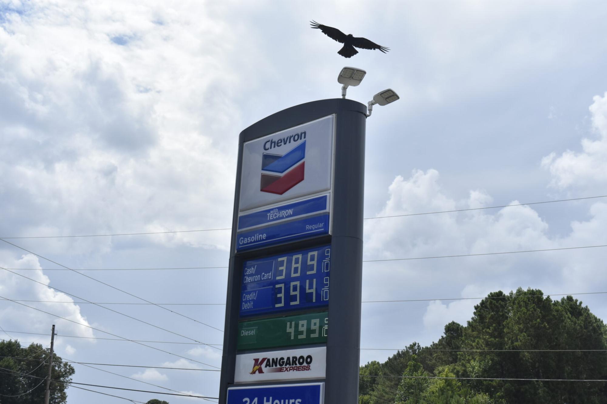 A crow flies over the sign of a gas station in Bartow County. Ross Williams/Georgia Recorder.