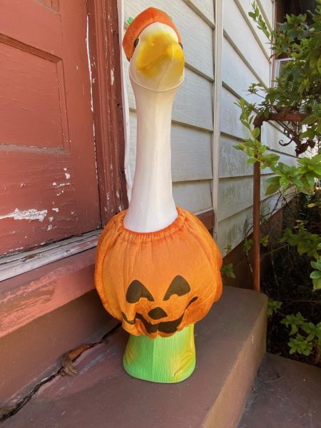 A yard goose dressed in a pumpkin themed Halloween costume sits on a doorstep.