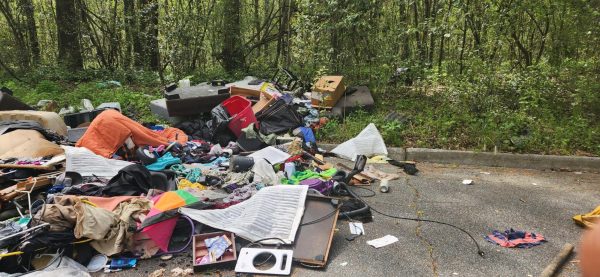 Illegal dumping: Its Punishments and How it is Affecting the Community