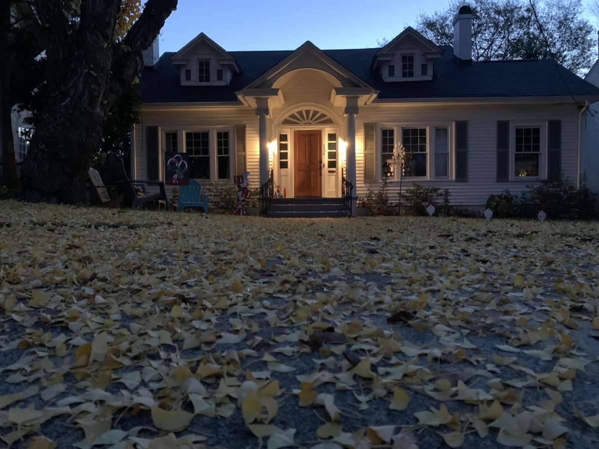 A 1925 home on Vinevilles Buford Place is dusted in ginko leaves