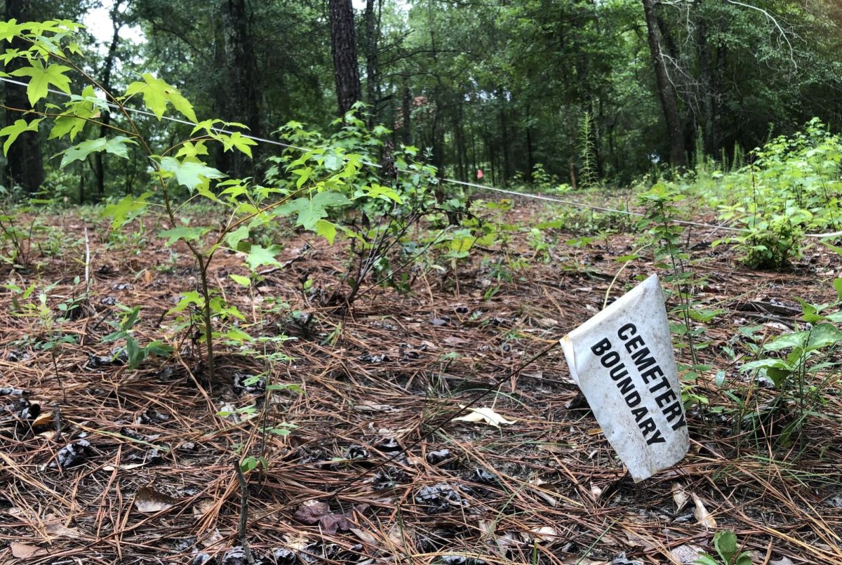 A cemetery of more than 60 mostly unmarked graves was a factor in Macon-Bibb County Planning & Zonings denial of a new high-density subdivision at Oakview off Hartley Bridge Road. 