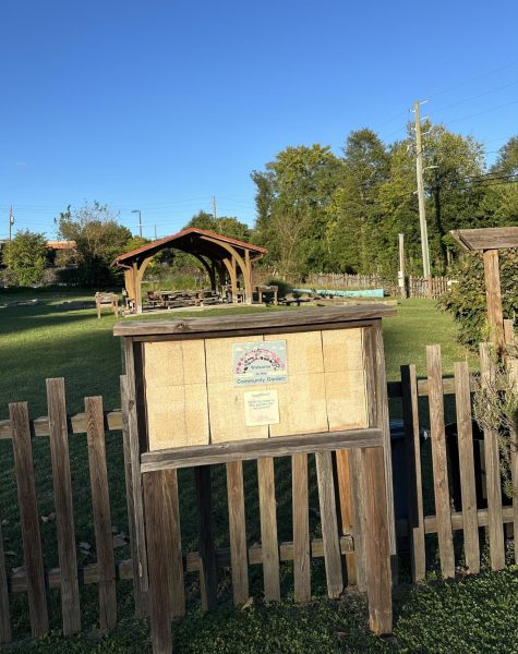 The sun shines on the gate of Centenary Church's community garden across from Mercer Campus on October 1, 2024.