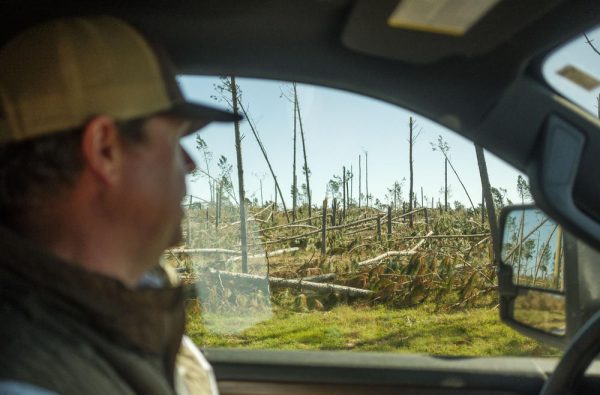 A catastrophically damaged timber stand in Treutlen County is seen from Ben Gillis' truck.