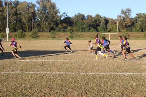 Afternoon action as the Patriots and Vikings battled early in the first quarter of their matchup. 