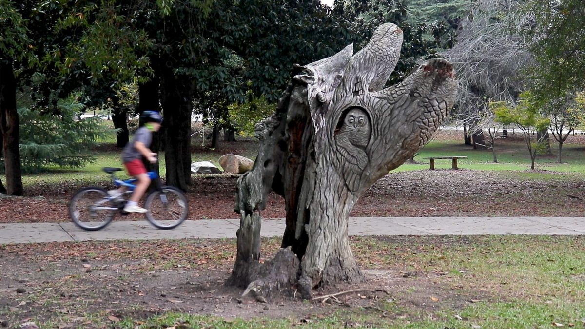 Tattnall Square Park