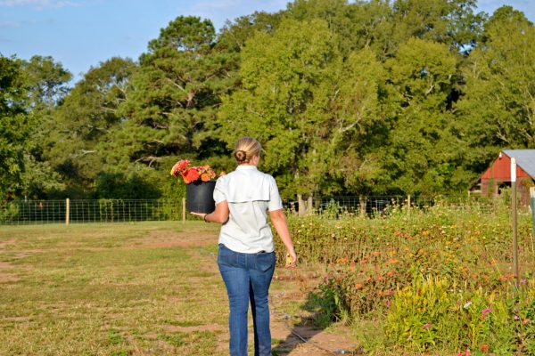 Rooted in Resilience: Sustaining Land for Four Generations