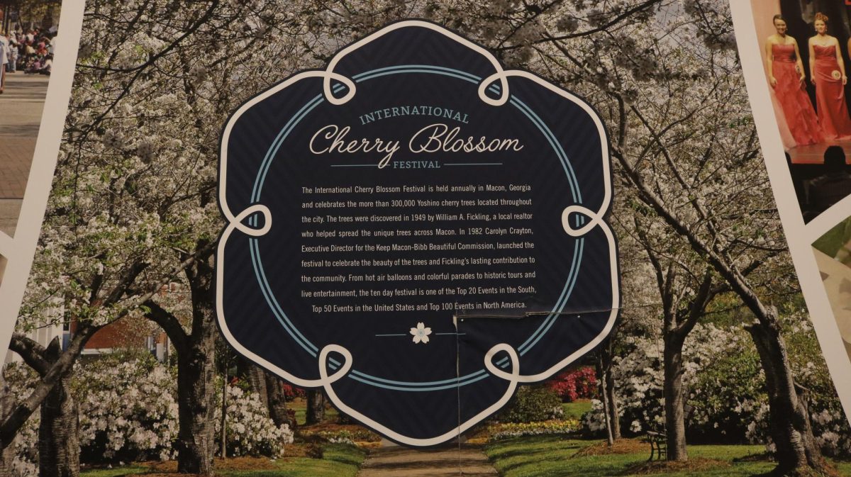 Information on the annual Cherry Blossom Festival. 