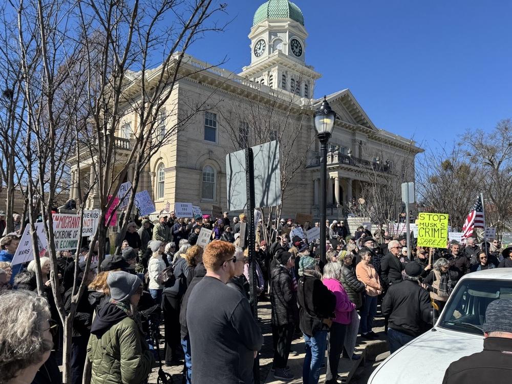 Protestors gather Feb. 17, 2025, outside City Hall in Athens, Ga., calling for the removal of billionaire Elon Musk from the Trump administration.