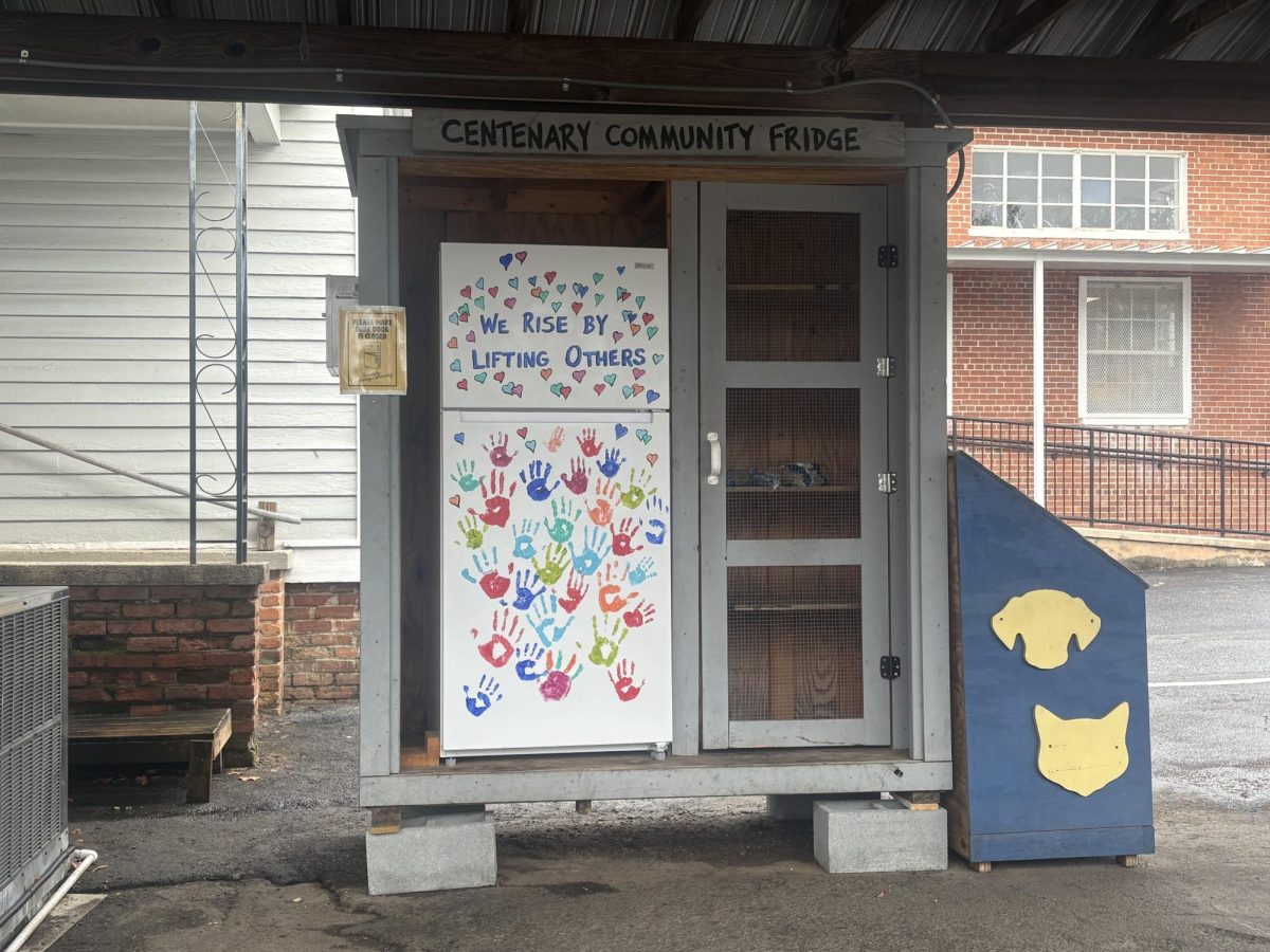 Photo of the Centenary Community Fridge captured by Triana Graham