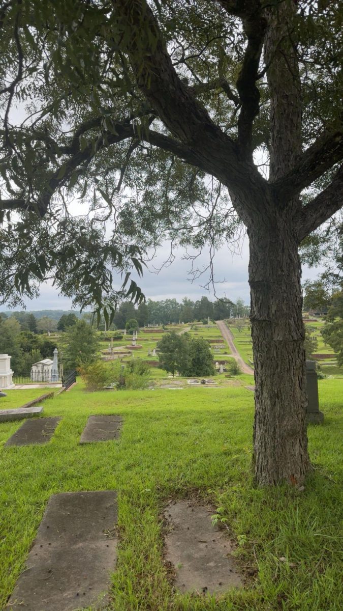 Rose Hill Cemetery overlooking the landscape and headstones. 