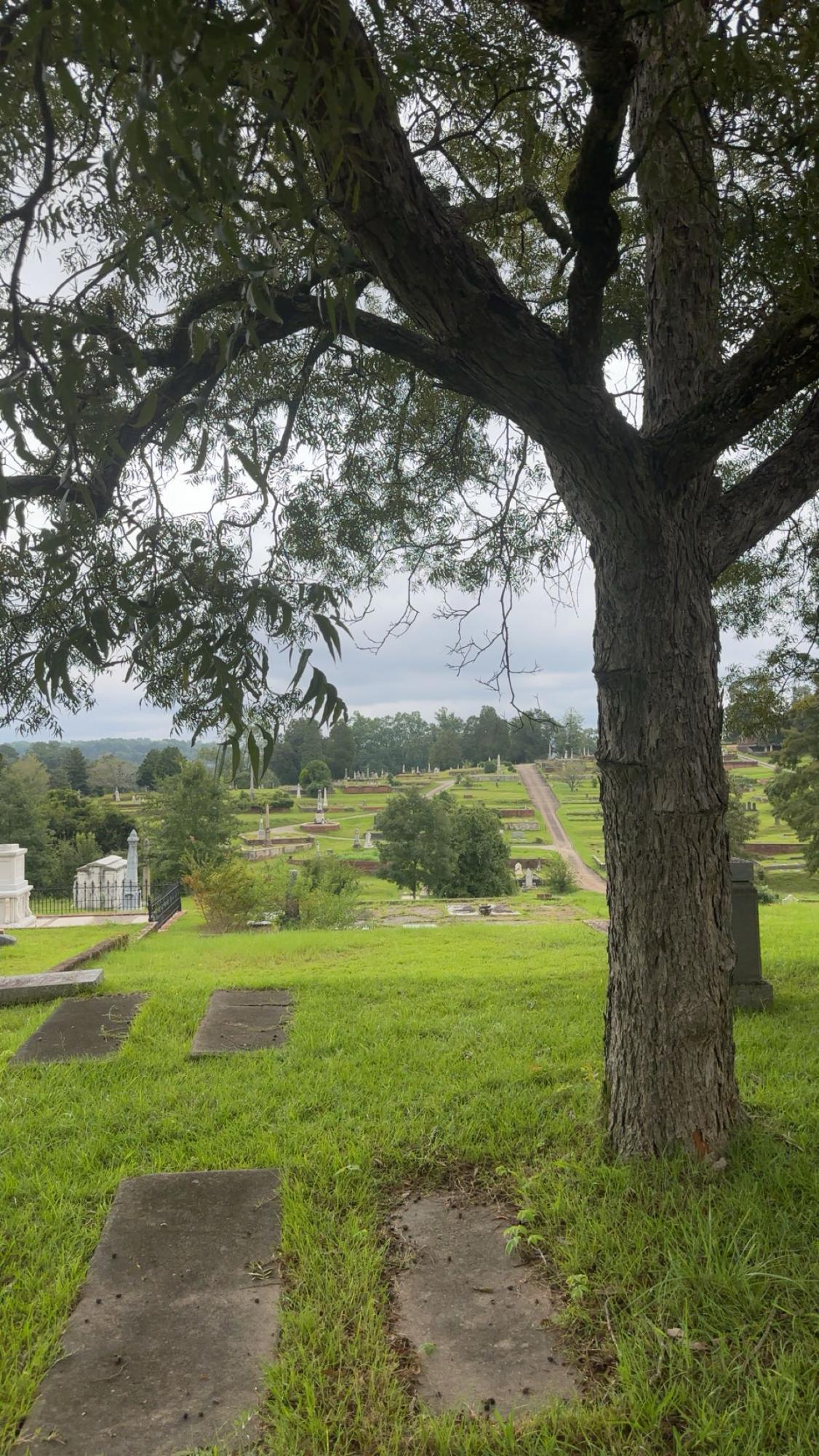 Rose Hill Cemetery overlooking the landscape and headstones. 