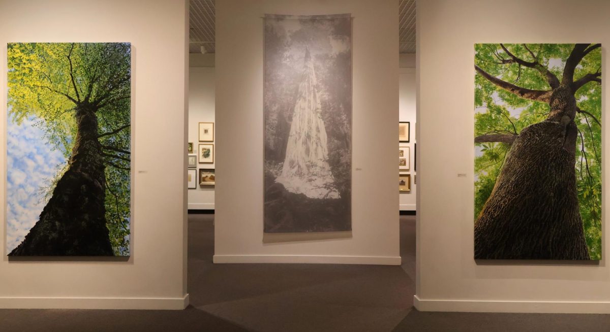 Carin Wagner acknowledges endangered tree species with photographs printed on silk banners and hand-painted images.