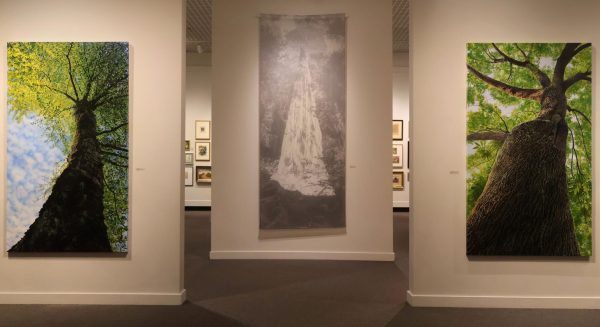 Carin Wagner acknowledges endangered tree species with photographs printed on silk banners and hand-painted images.