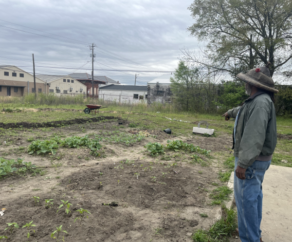 Loy Young points out some of the greens he has planted at the corner of Martin Luther King Boulevard and Hazel Street. Young sells fresh produce from this location every Wednesday through Sunday.