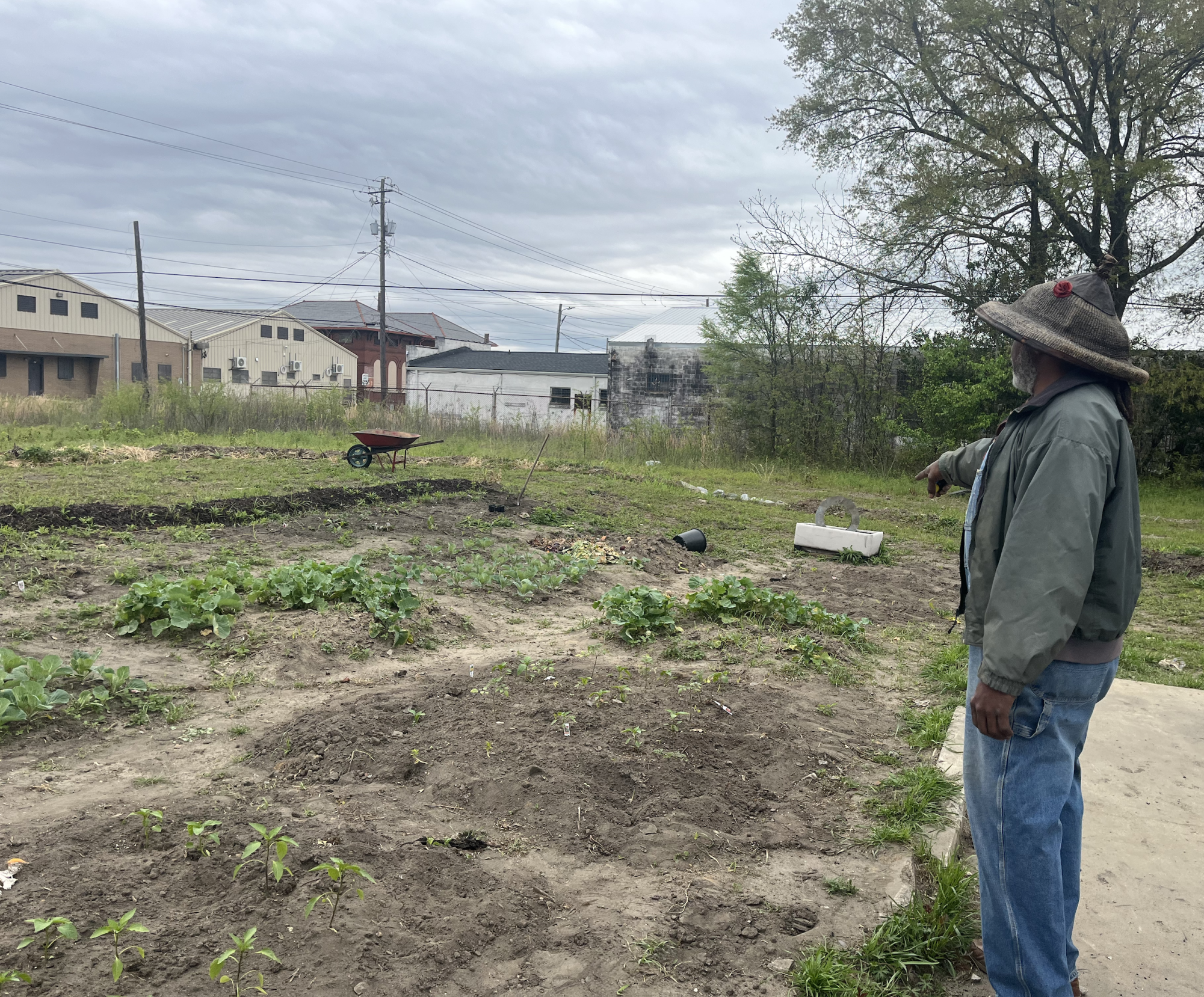 Loy Young points out some of the greens he has planted at the corner of Martin Luther King Boulevard and Hazel Street. Young sells fresh produce from this location every Wednesday through Sunday.