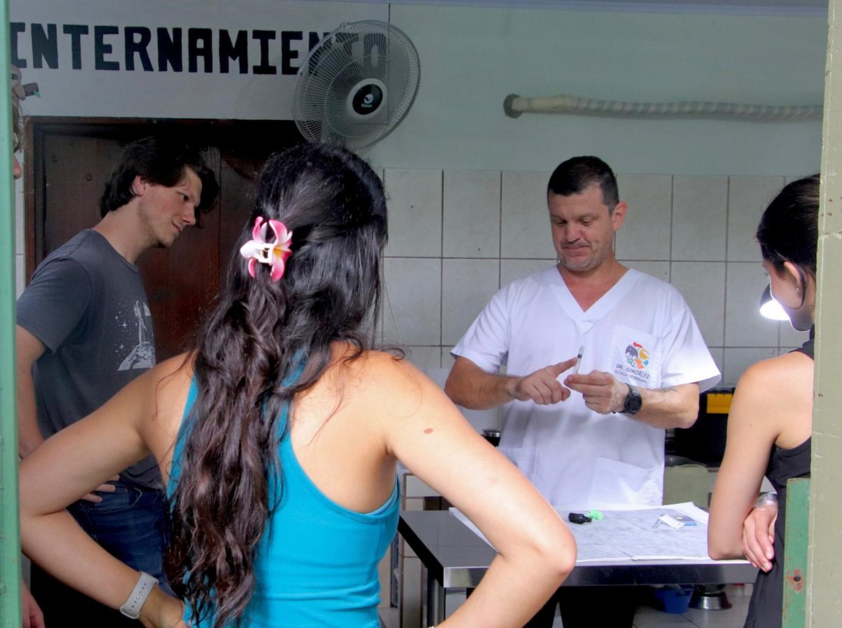 Mercer students Elijah Walton, Riddhi Maheshwari and Talia Vega meet with the vet at Proyecto Asis. Each morning, he triages wildlife that may be brought to the center because of injury and also keeps the sanctuary's resident animals healthy.