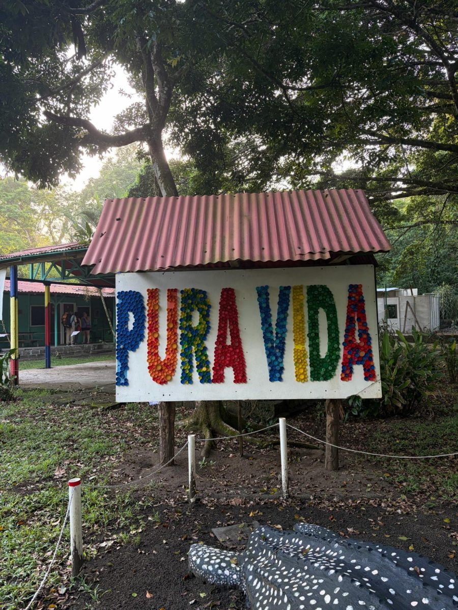Pura Vida is a common greeting and sight to see on signs in Costa Rica. Pictured here is a Pura Vida sign at Estacion Las Tortugas on the Carribean coast.